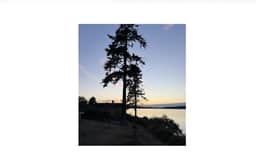 Baby Island Bungalow | Waterfront Cabin & Beach - Image 5