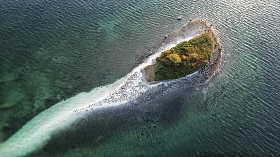 Baby Island Bungalow | Waterfront Cabin & Beach - Image 2