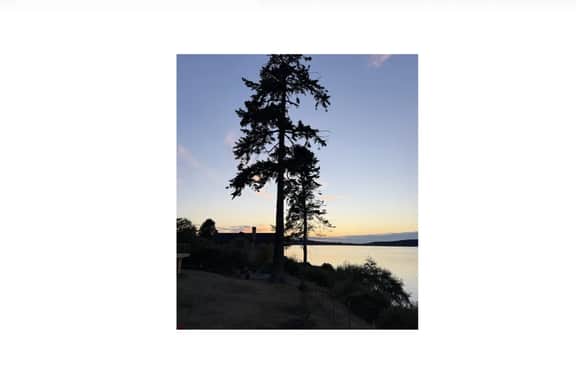 Baby Island Bungalow | Waterfront Cabin & Beach - Image 5